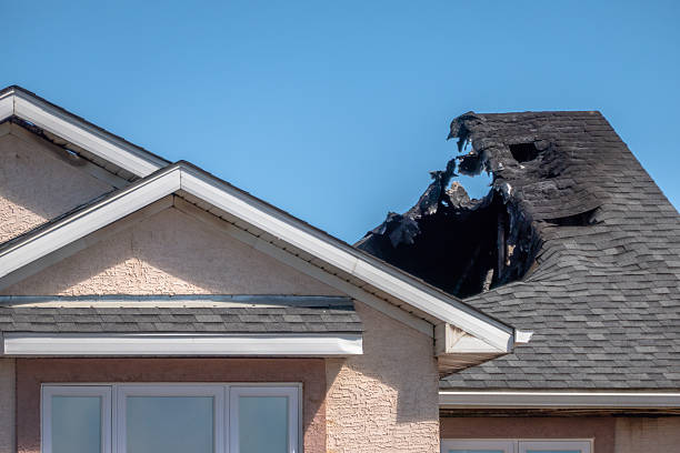 Top rated local Odor Removal specialists in Hamilton, VA